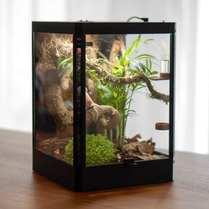 BioFaunaCube©: Das ideale Insekten Terrarium