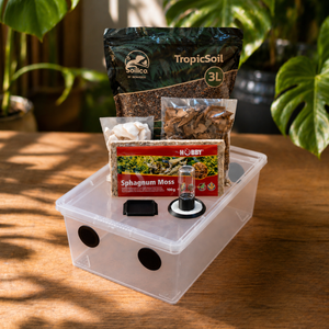 Kit de démarrage Isopodes