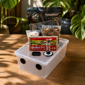 LucaTech3D Assel-Starterset für Terrarien mit Wasserpflanzen und Zubehör, ideal für Aquarien- und Terrarienliebhaber