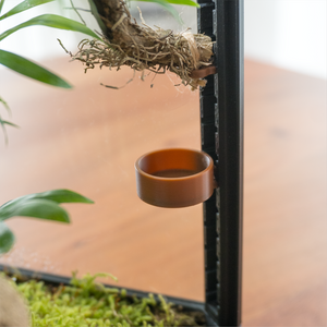 Dish for BioFaunaCube©