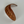 Elephant Ear