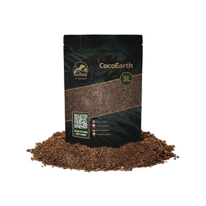 Kokossubstrat von Soilico CocoEarth, organisches Kokosfaserhumus, feine Textur für nachhaltiges Pflanzenwachstum