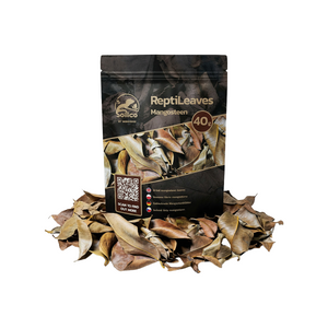 SOILICO ReptiLeaves MANGOSTEEN - Mangostanblätter - LucaTech3D - Terrarium Line
