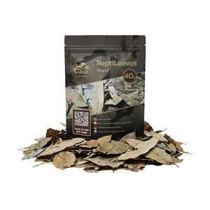 SOILICO ReptiLeaves TROPIC - Tropische Blätter-Mischung - LucaTech3D - Terrarium Line