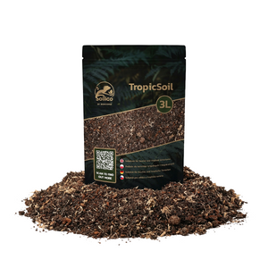 Tropisches Bodensubstrat TropicSoil von Soilico, feuchte Erde mit organischen Bestandteilen für tropische Pflanzen, Nahaufnahme