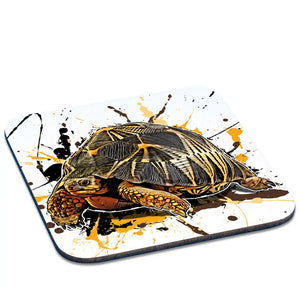 Untersetzer Astrochelys radiata von TK Untersetzer, detailreiche Abbildung des Tassenkaspers mit Schildkrötenmotiv