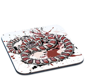 Untersetzer Lampropeltis triangulum triangulum von TK Untersetzer, detailreiche Darstellung der bunten Schlangenmuster, Tassenuntersetzer