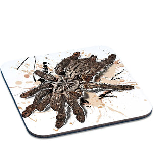 Heteroscodra maculata Untersetzer von Tassenkasper, detailreiche Illustration auf schwarzem Hintergrund, ideal für Spinnenliebhaber