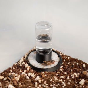 Insektentränke Mini - LucaTech3D - Terrarium Line