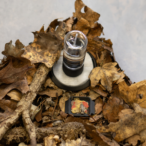 Assel-Sorglos - Bundle M - LucaTech3D - Terrarium Line