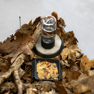 Assel-Sorglos - Bundle XL - LucaTech3D - Terrarium Line