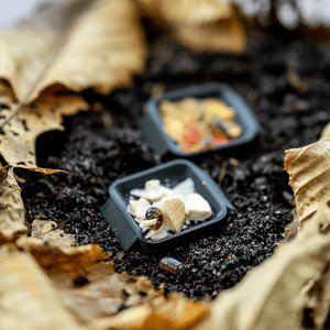 Asselnapf - LucaTech3D GmbH 