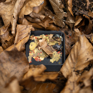 Asselnapf XL - LucaTech3D - Terrarium Line