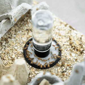 Insektentränke - LucaTech3D GmbH 