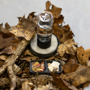 Assel-Sorglos - Bundle L - LucaTech3D - Terrarium Line